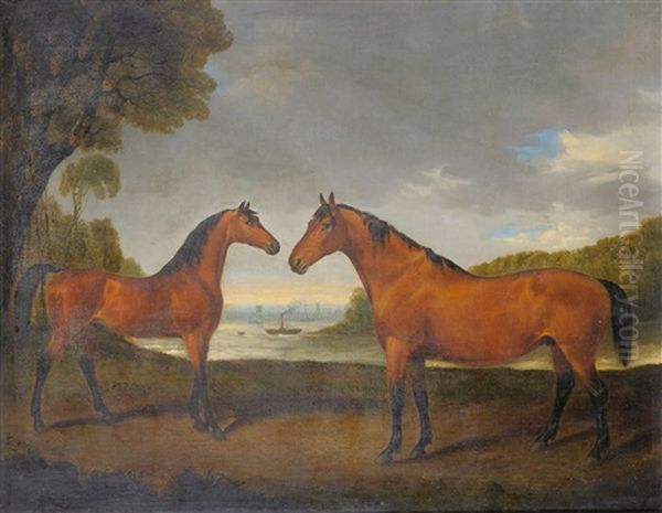 Horses Match And Premium At Stillingfleet - view 1