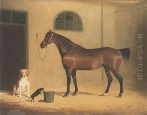 Portrait Of A Bay Hunter And Two Dogs, In A Stableyard - view 1
