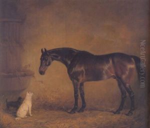 A Bay Hunter With Short Haired And Long Haired Terriers In A Loose Box by Henry Calvert
