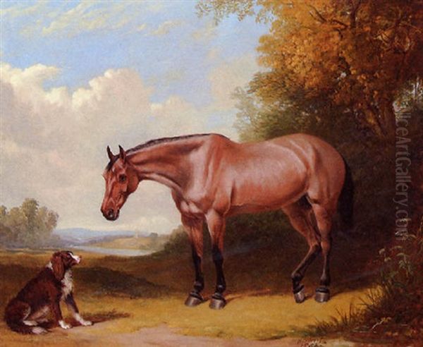 New Friends - A Hunter And A Spaniel - view 1