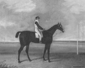 Jockey Auf Einem Pferd In Einer Weiten Landschaft