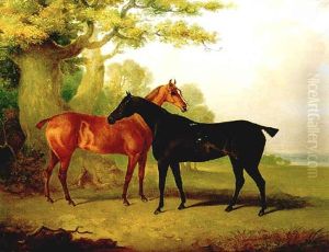 Two Horses In A Pasture