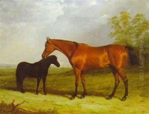 A Bay Gelding With A Black Pony In An Extensive Landscape