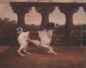 "fan", The Pet Dog Of Lady Ashburnham, Playing With A Ball On A Terrace