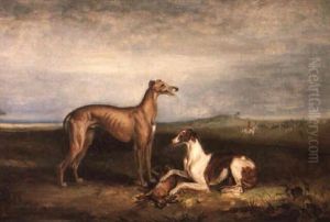 Portrait Of Greyhounds Jamie Forest And Queen Mary