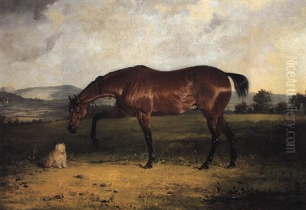 Study Of A Bay Horse And A Terrier In A Landscape - view 1
