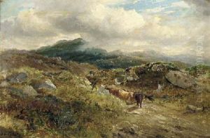 Droving Cattle Across The Scottish Moors Droving Cattle Across The Scottish Moors