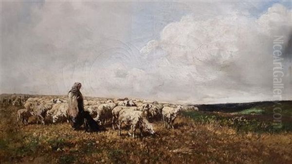 Landscape - view 1