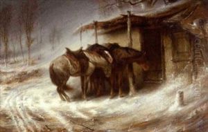 Chevaux Dans Le Blizard Chevaux Dans Le Blizard