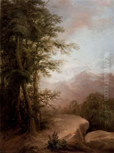 Paisaje - view 1