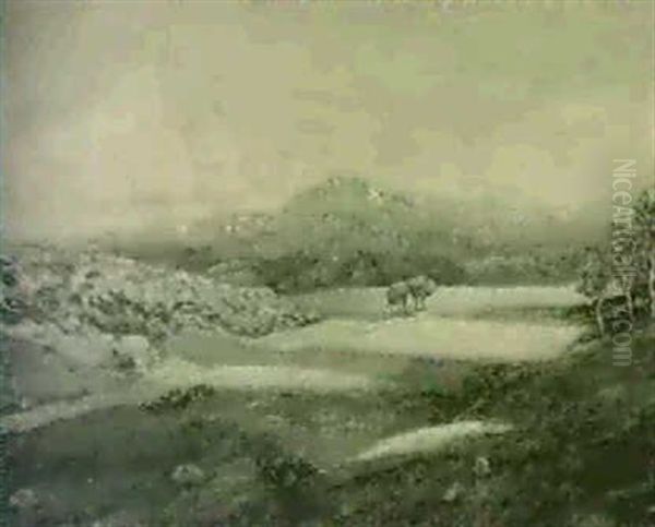 Moray - view 1
