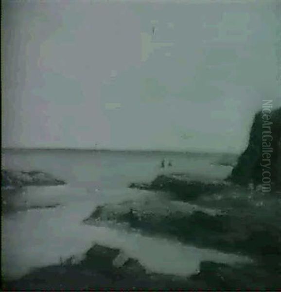 The Rocky Shores Of Moray - view 1