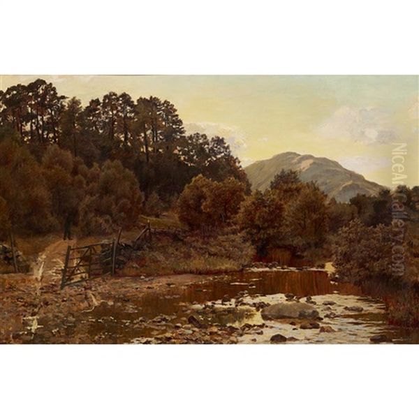 Tom Dhu, Glenfinlas, Evening - view 1