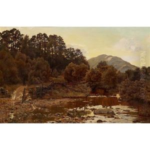 Tom Dhu, Glenfinlas, Evening by Duncan Cameron