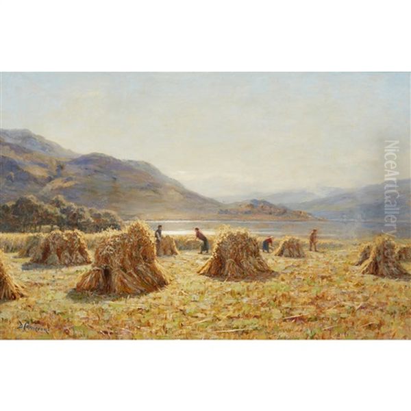A Crofter's Harvest - view 1
