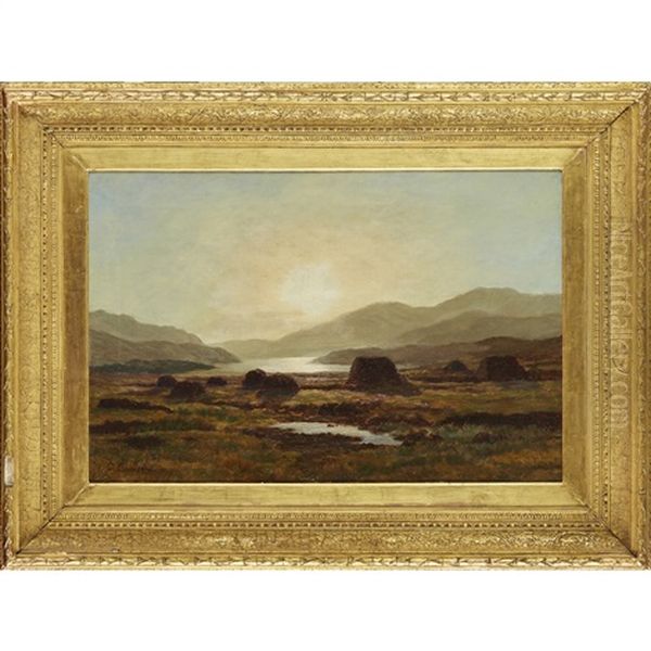 Peat Moss, Near Loch Vennachar - view 1