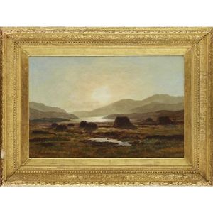 Peat Moss, Near Loch Vennachar