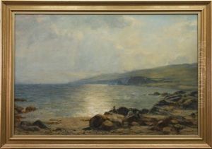 Sunlit Coast