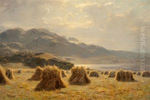 A Highland Harvest by Duncan Cameron