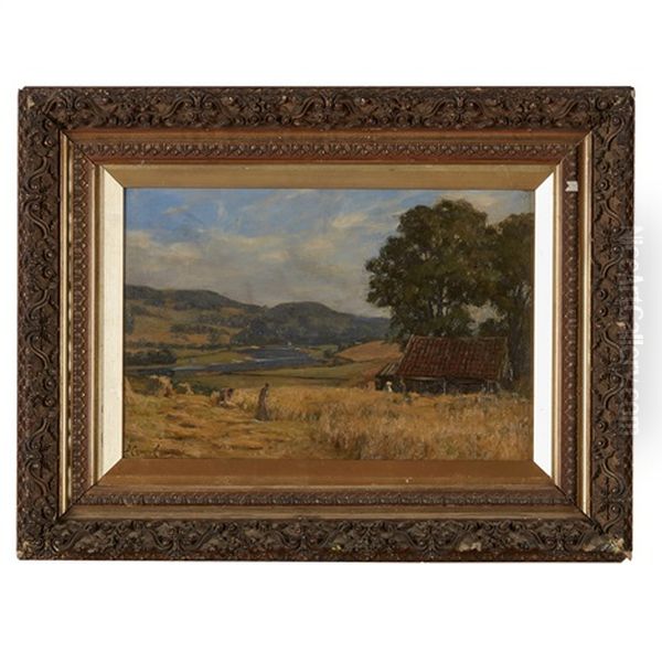 Harvest At Scoonieburn - view 1