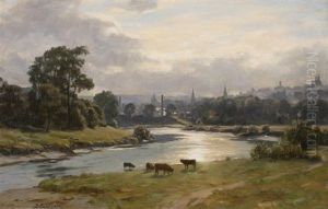 The Town Of Stirling by Duncan Cameron