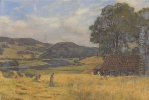 Harvest At Scoonieburn by Duncan Cameron