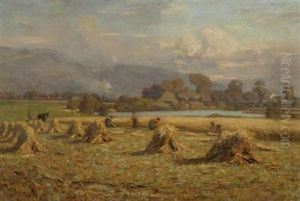 Harvest-time by Duncan Cameron