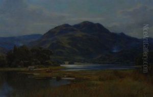 Marshlands by Duncan Cameron