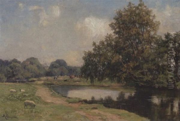 Fluslandschaft Mit Schafen - view 1