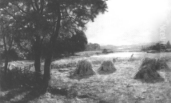 Harvesting - view 1