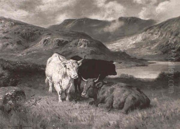 Highland Cattle In A Mountain Lanscape - view 1