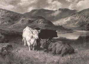 Highland Cattle In A Mountain Lanscape by Duncan Cameron