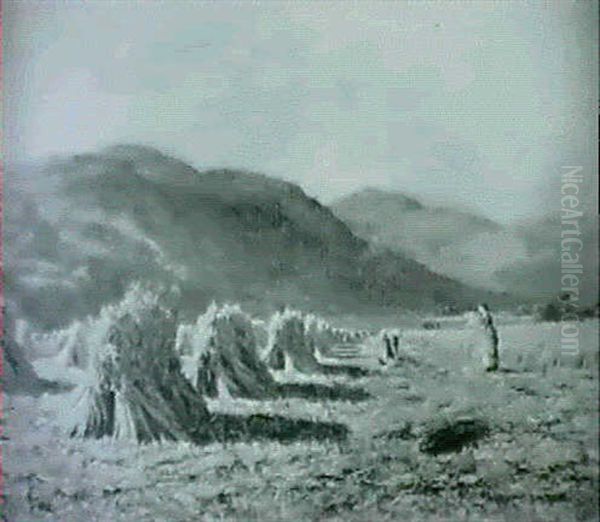 Harvesting Near Lampyet - view 1