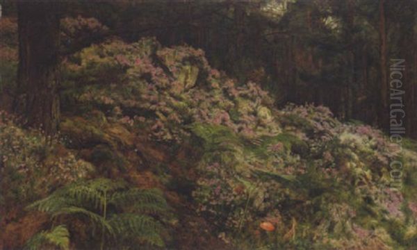 A Woodland Scene - view 1