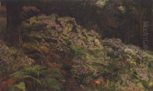 A Woodland Scene A Woodland Scene
