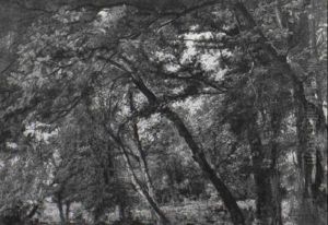 Figure Nel Bosco by Michele Cammarano