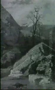 Paesaggio A Monte Cucco
