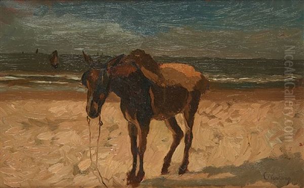 Ane En Bord De Mer - view 1