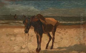 Ane En Bord De Mer Ane En Bord De Mer
