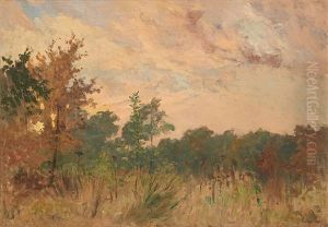 Soleil Rougeoyant Soleil Rougeoyant