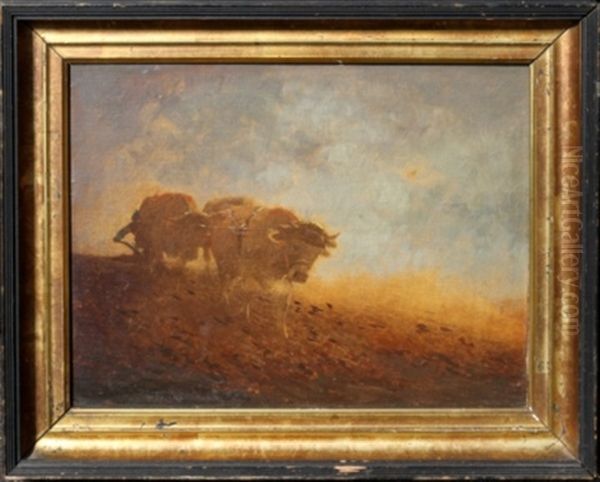 Man Plowing With Cattle - view 1