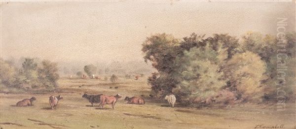 Tn Landscape - view 1