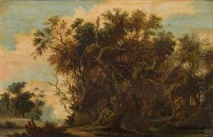 Forest Landscape