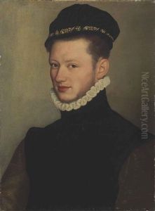 Portrait Of A Young Man, Bust-length by Bernardino Campi