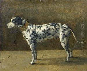 Portrait De Chien