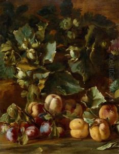 Still Life With Peaches, Plums And Hazel Nuts by Michelangelo di Campidoglio