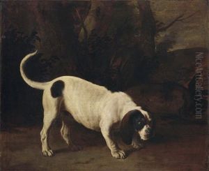 Jagdhund In Einer Landschaft Jagdhund In Einer Landschaft