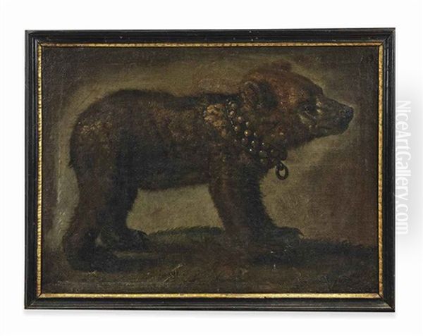 A Bear Cub With A Collar - view 1