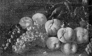 Still Life Of Grapes, Vines And Peaches Scattered On The Ground by Michelangelo di Campidoglio