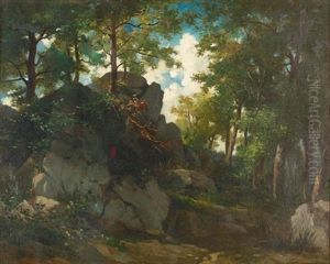 Sonnige Waldlandschaft Mit Felsen Unter Bewolktem Himmel